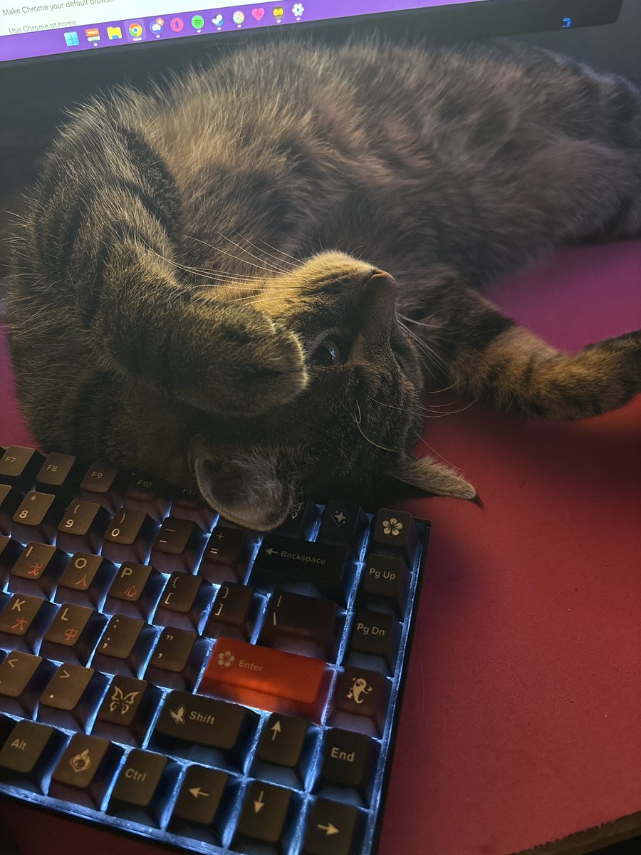 blueberry tweet media