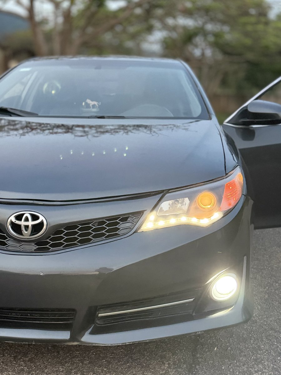 Classic Media tweet media