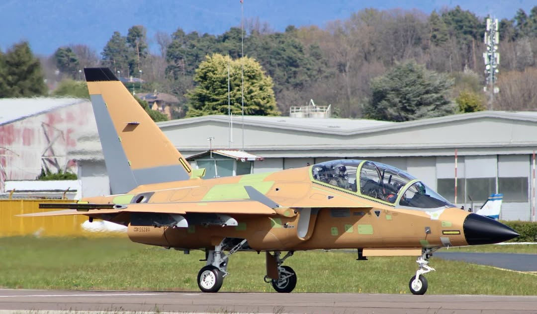 Toju weston tweet media