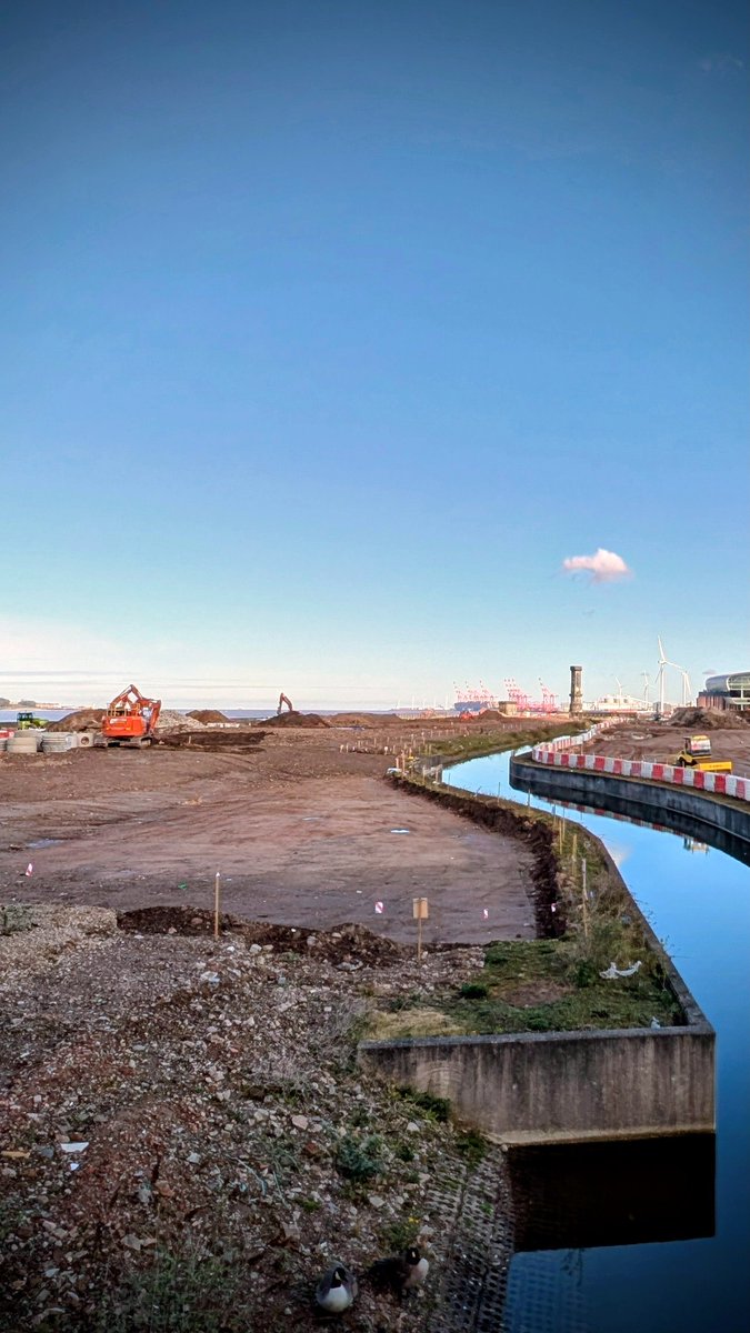 Philip Anderson tweet media