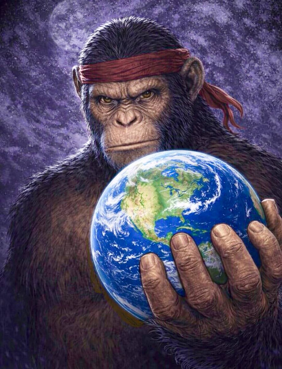 Apes Together Strong tweet media