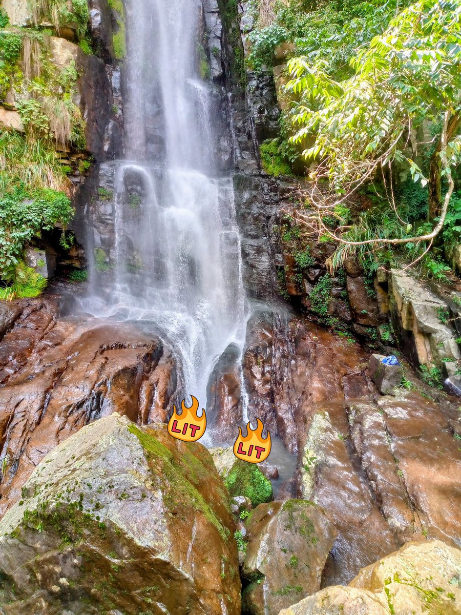 Neilwones tweet media