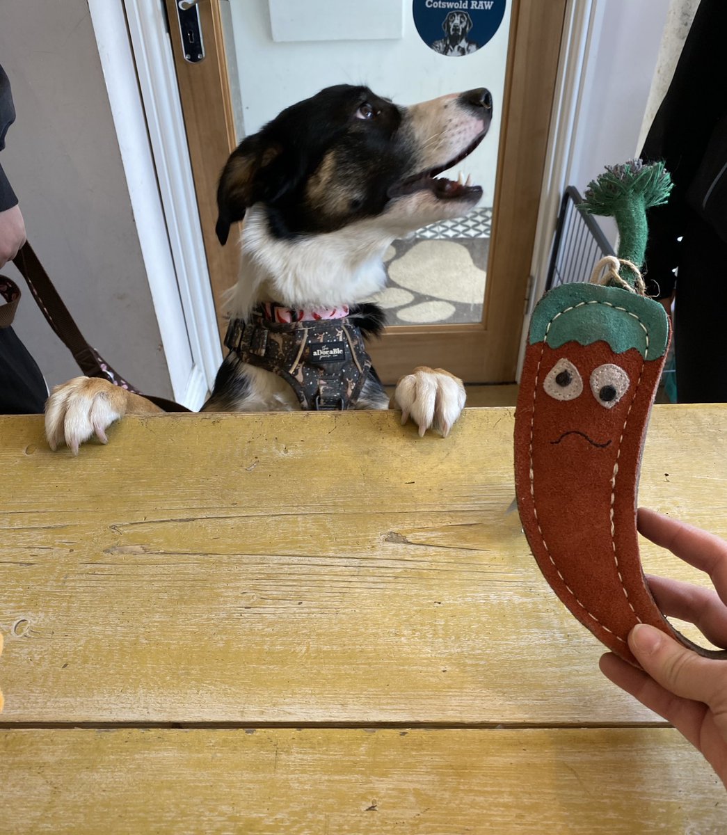 BeMoreBob tweet media