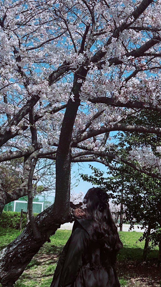 しろちゃ🐻‍❄️ྀི💤 tweet media