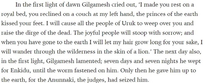 rinlia ⌐⎚-⎚) tweet media