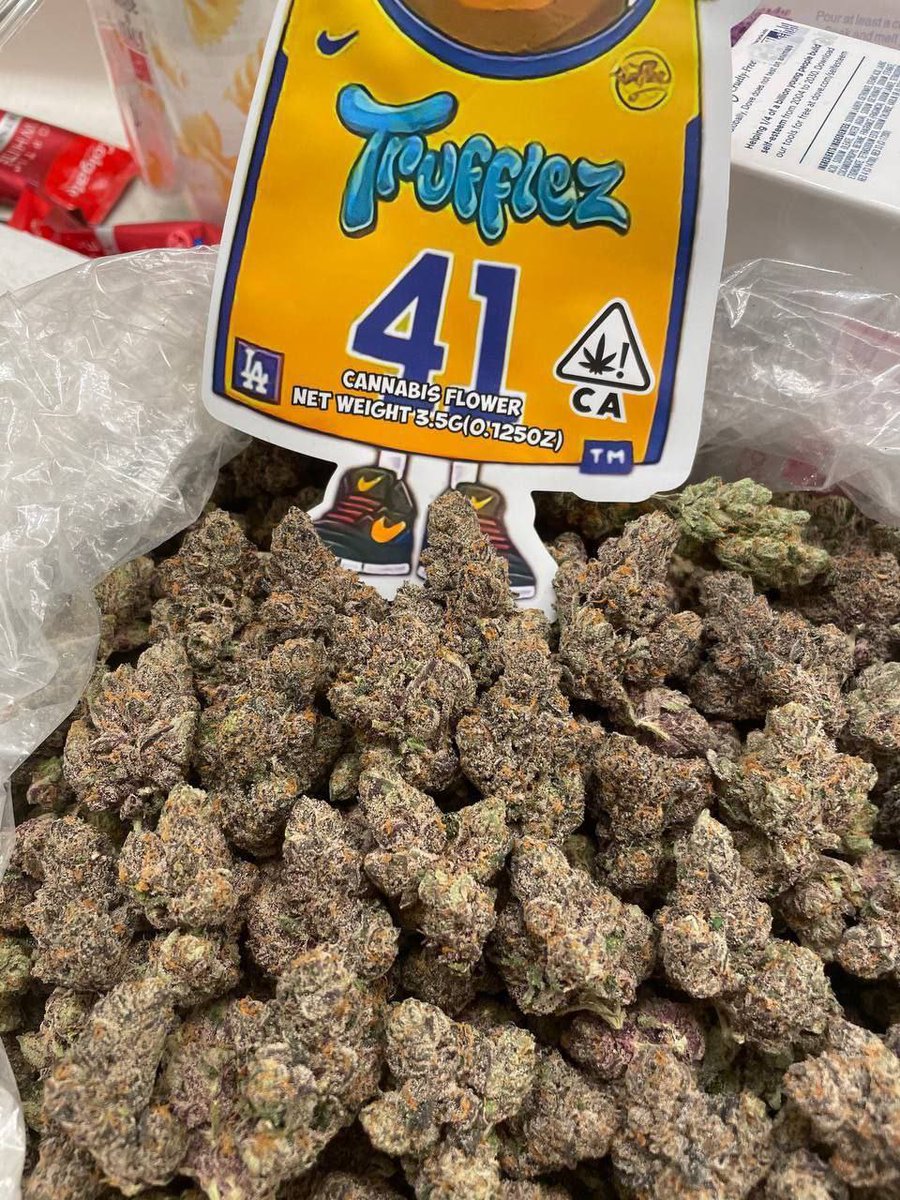 sincity seeds tweet media