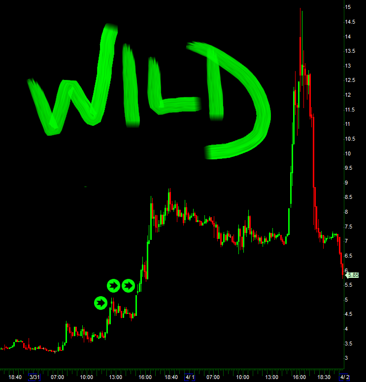 Profit Trade Room tweet media