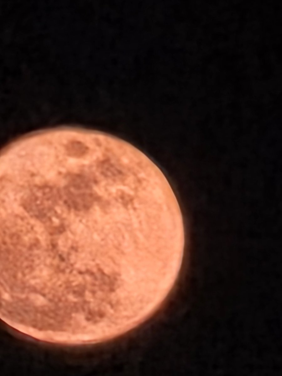 KEI: Forever My Moon 🌙 tweet media