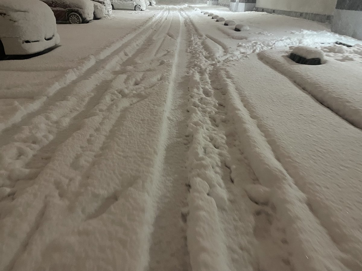 » ﾍｲﾁｬﾝ 。 (ｷｰﾏｳに憧れてる人) tweet media