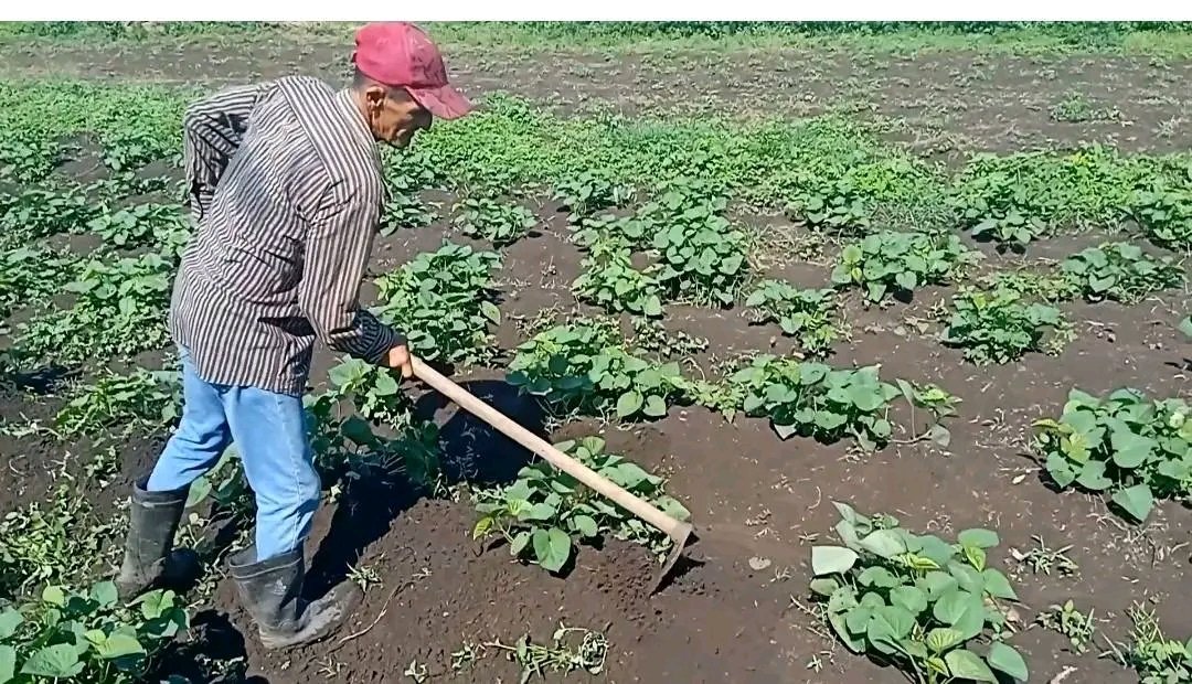 Dixami Rodríguez Gómez tweet media