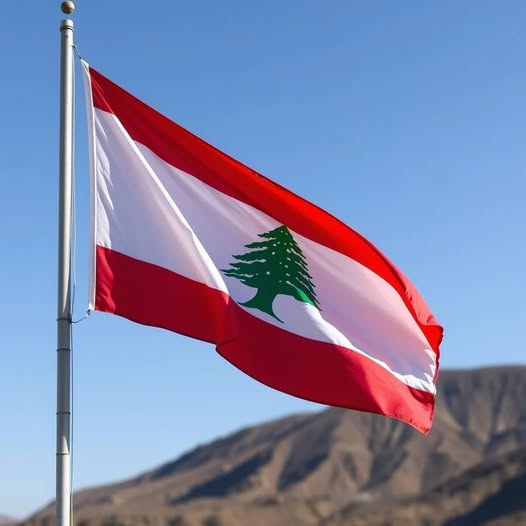 أماليا نبيل♥️🎼 tweet media