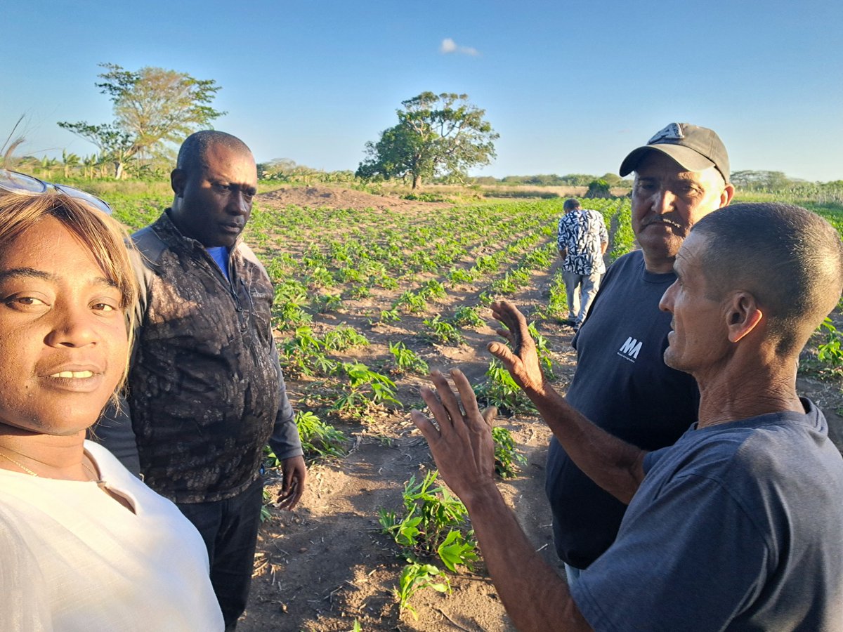 Dixami Rodríguez Gómez tweet media