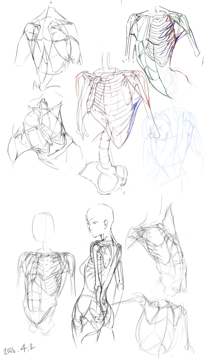 네아 NEA 콜로소 tweet media