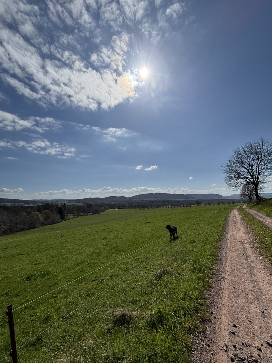 Monica_McClane 🤌 tweet media