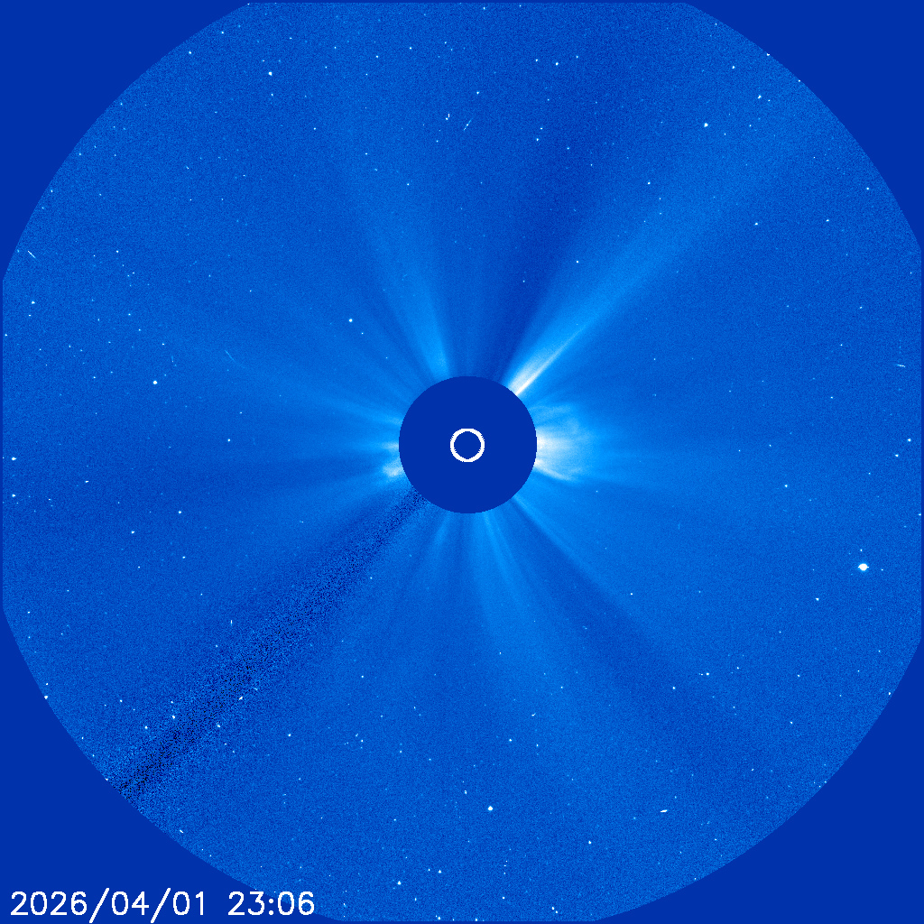 CLAUDEWAR 🪖 tweet media