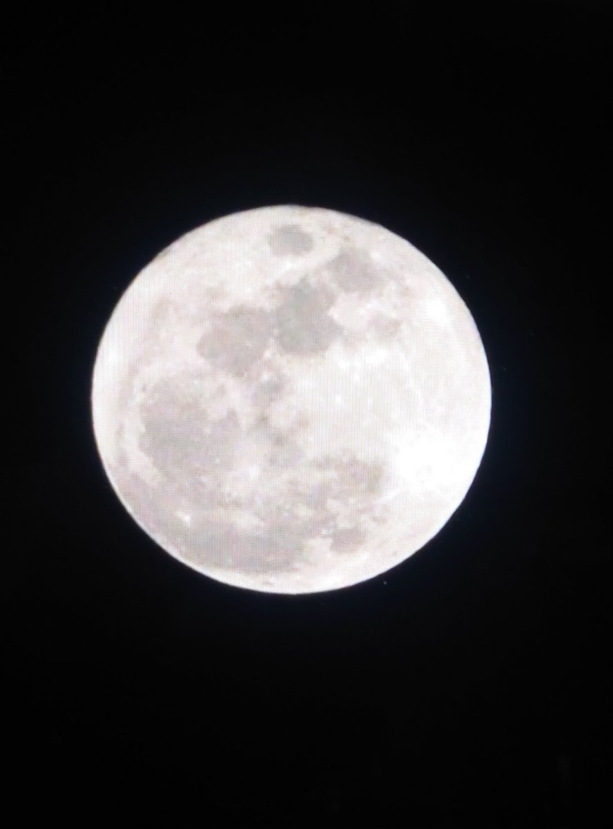 SeikoTamori's tweet photo. #三重の天気　#満月　#ピンクムーン

■4月3日(金)
穏やかな晴れ☀
風も弱く昼間はポカポカ陽気
最高　20〜22℃

東の空に満月が昇ってきました🌕️
ぜひ、夜空を眺めてみてください✨️

午後7時　津市のお天気カメラより https://t.co/71Ym234JYy