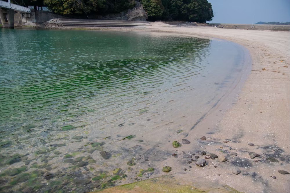 Minaコス 第15回 𝙸𝙽湯ノ児海浜公園 tweet media