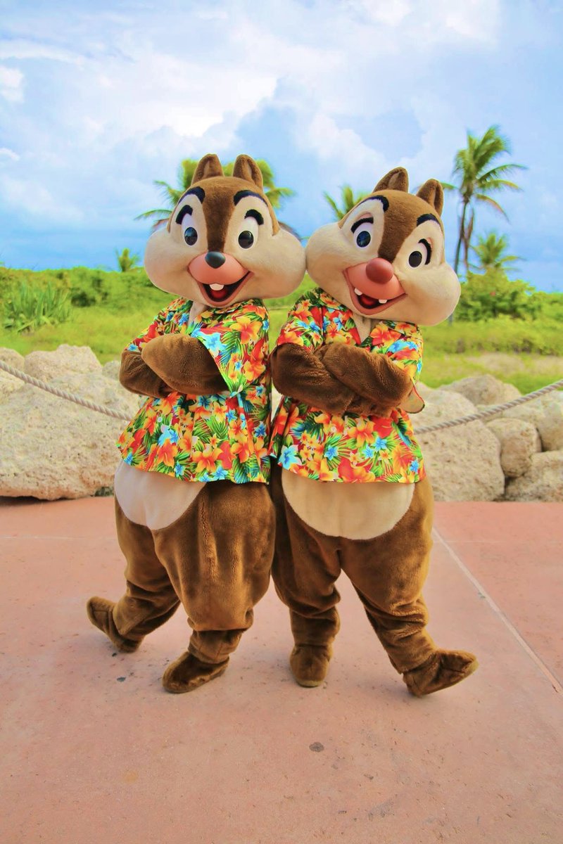 てぃーだ☀️ tweet media