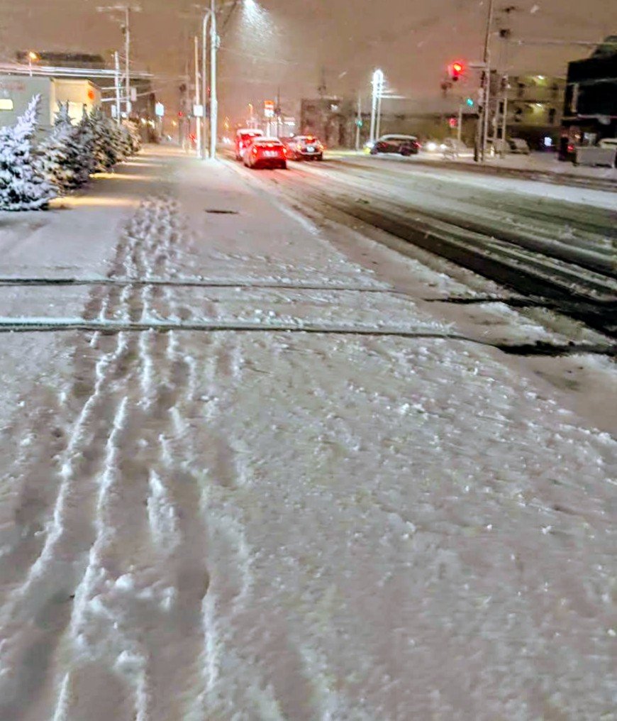 @北の吟遊詩人©️ tweet media