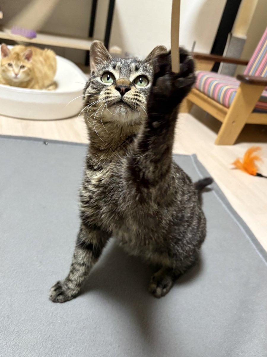 오버더호라이즌🎗 tweet media