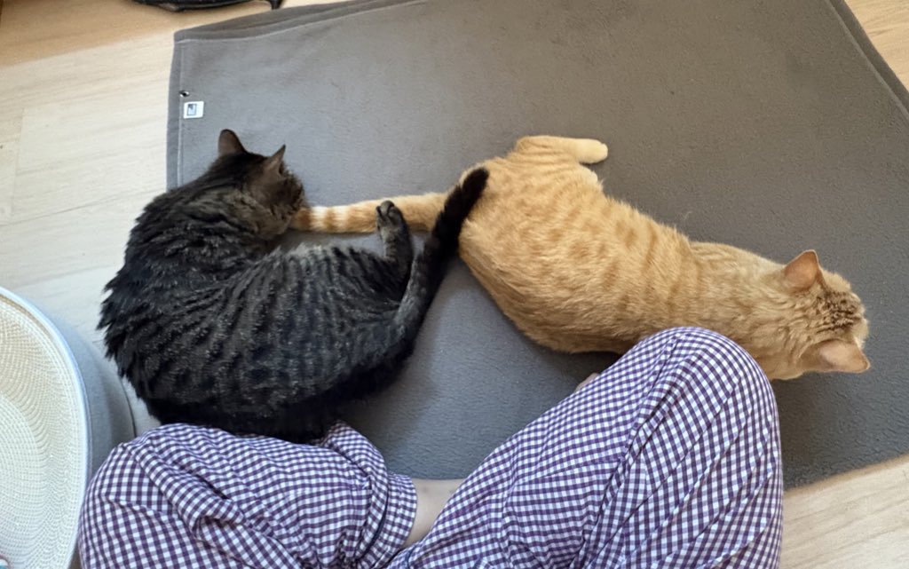 오버더호라이즌🎗 tweet media