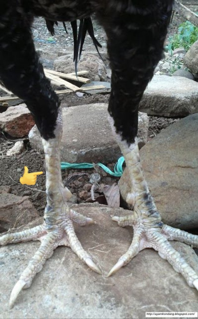 Random essentials. tweet media