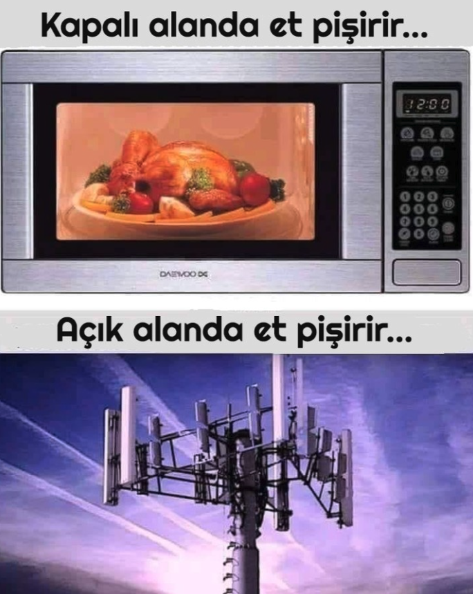 Spiritual Gangster tweet media