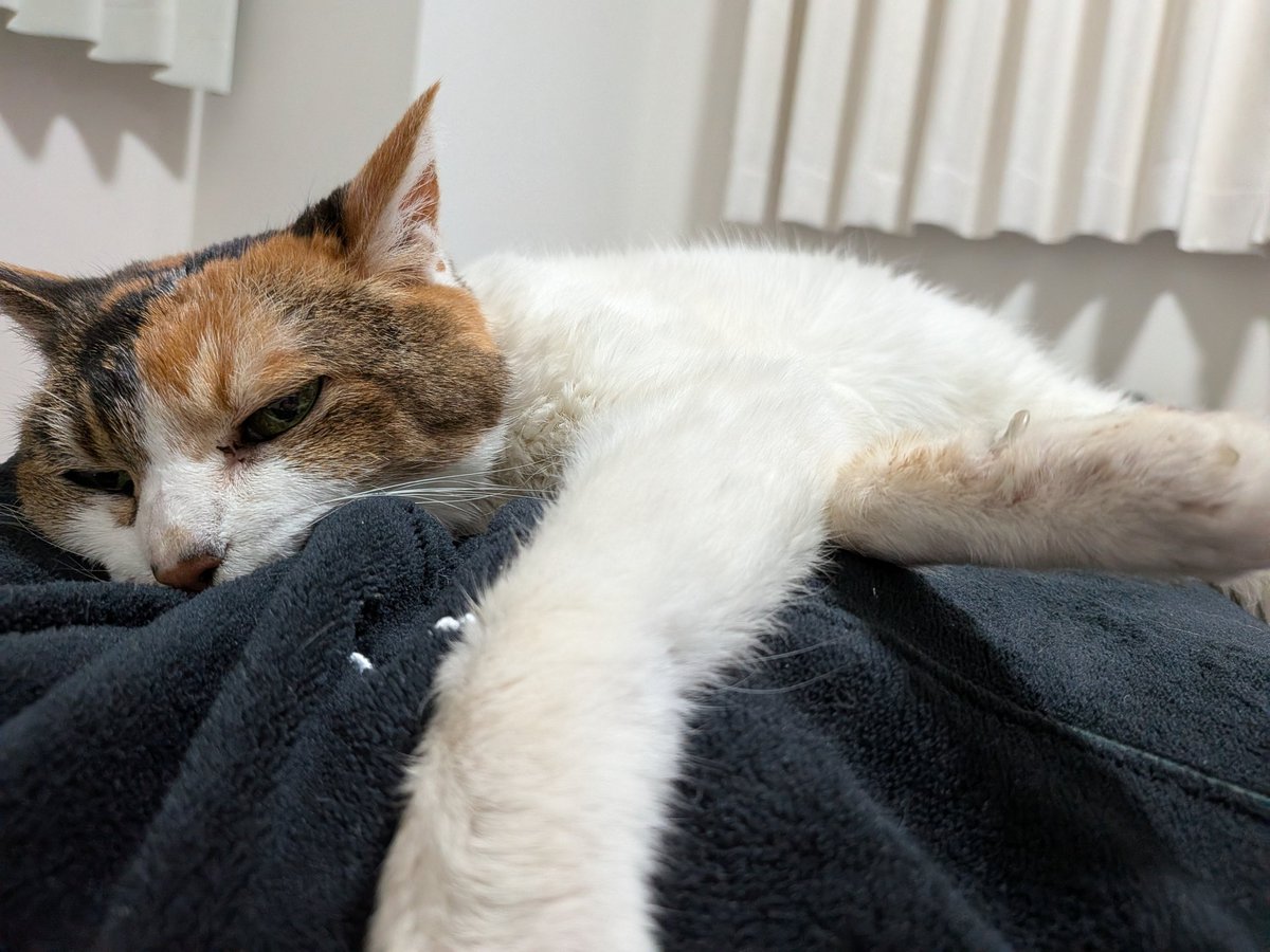 ℕ𝕒𝕣𝕦𝕥𝕠 tweet media