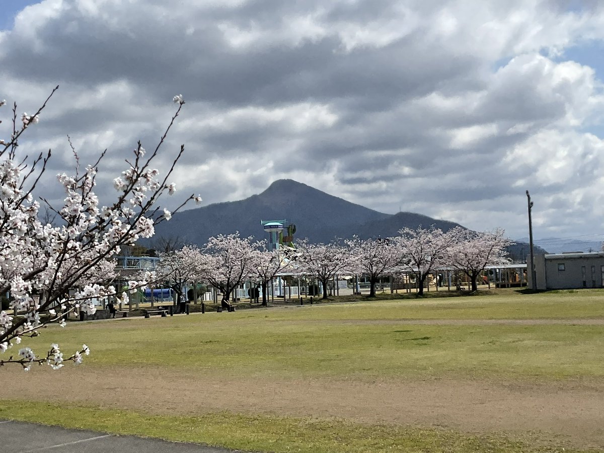 0332marubatu's tweet photo. 今日の武生/千代鶴神社→忠霊塔→武生中央公園→吉野瀬川　桜巡り https://t.co/xVy1NYrE7A