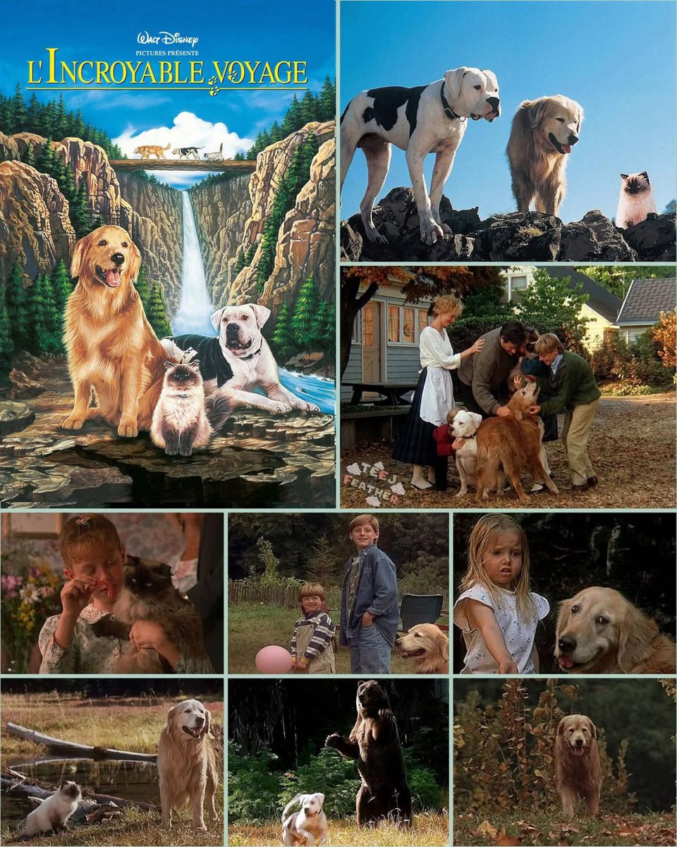 Jérem #Modzii tweet media