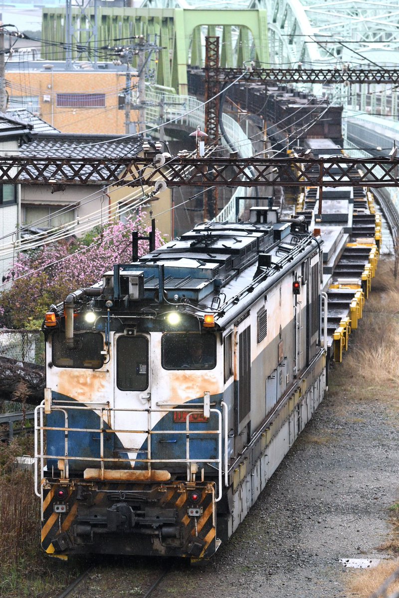 ク3501提督 tweet media