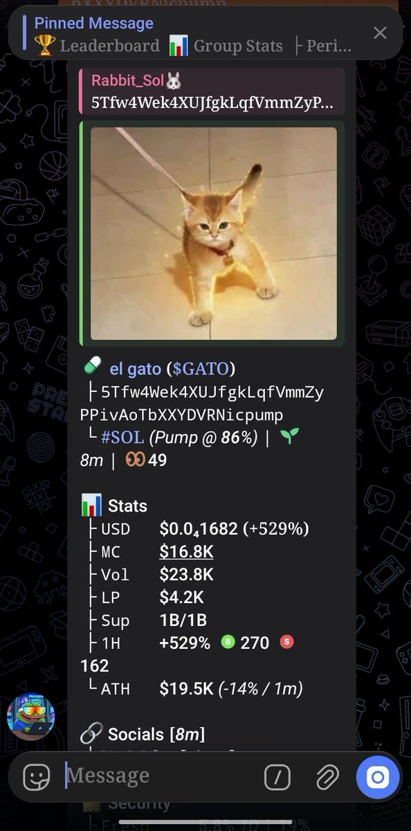 Rabbit_Sol🐰🇪🇬 tweet media