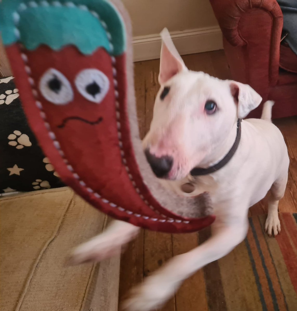 Pippa-Jane tweet media