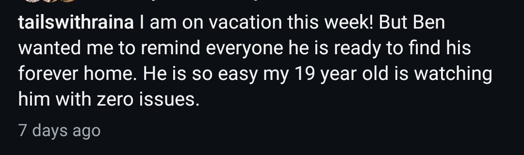 Foster a shelterpet at ZERO COST🐾 tweet media