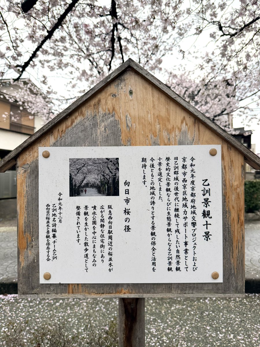 南湖｜大学生フリーランスモデル tweet media