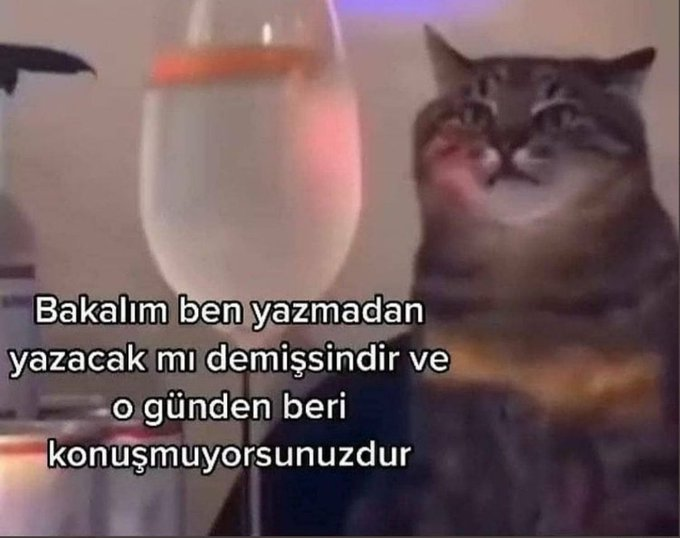 ecokmutlu's tweet photo. Benim ilişkilerin devamlılık şekli https://t.co/7jAYxn27FQ