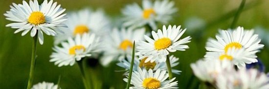 Serpil𓄂𓄽 tweet media