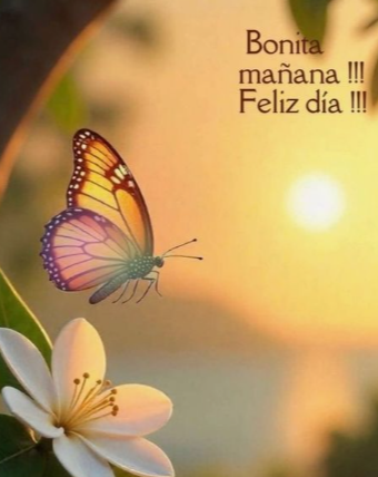 💙💜Berny🐶🐱🇨🇱 tweet media