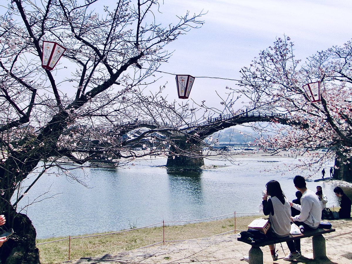 die_ske@キズナドライブ tweet media