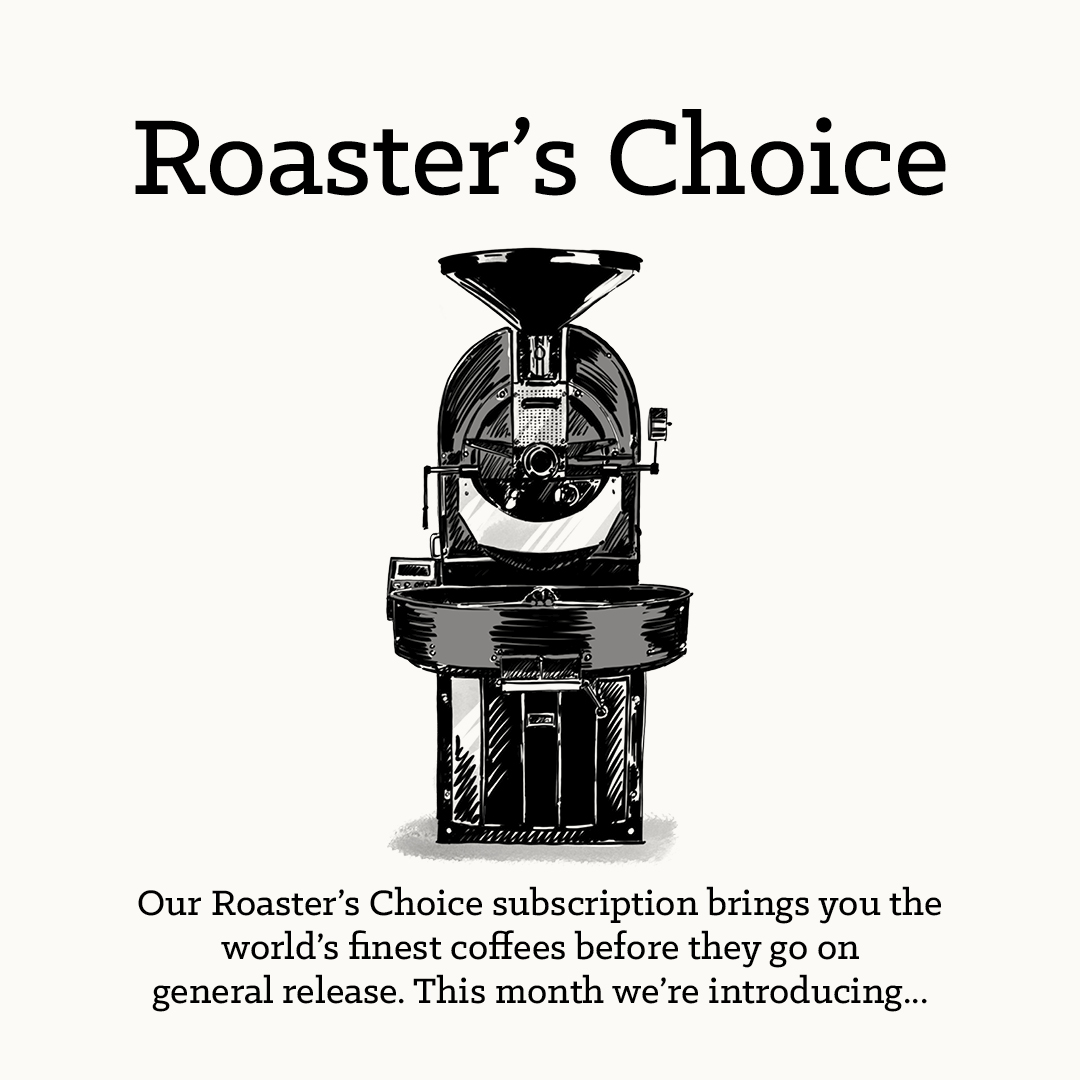 CarvetiiCoffee's tweet image. Our Roaster's Choice for April is here and we have something unique and seasonal for you!

Read more on our blog:
carvetiiblog.com/faustin-ribari…

Subscribe here:
carvetiicoffee.co.uk/products/month…

#roasterschoice #coffee #coffeeroasting #coffeeroaster #specialtycoffee #specialtycoffeeroaster