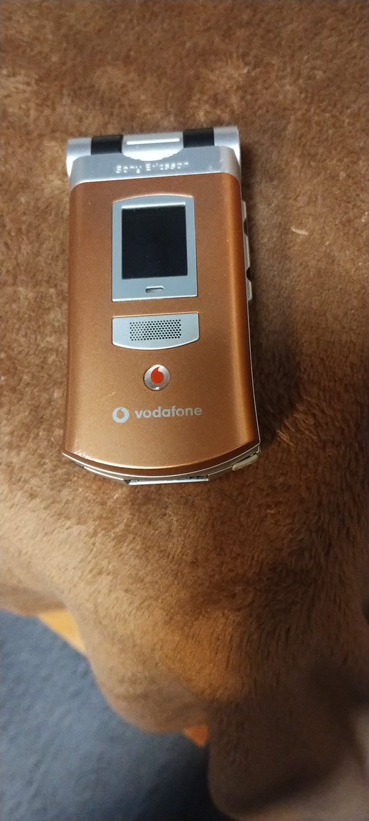 森之狸 tweet media