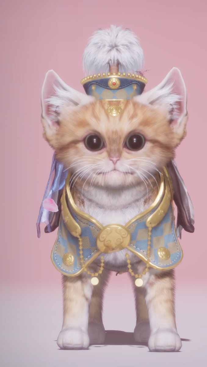 여눈함 tweet media