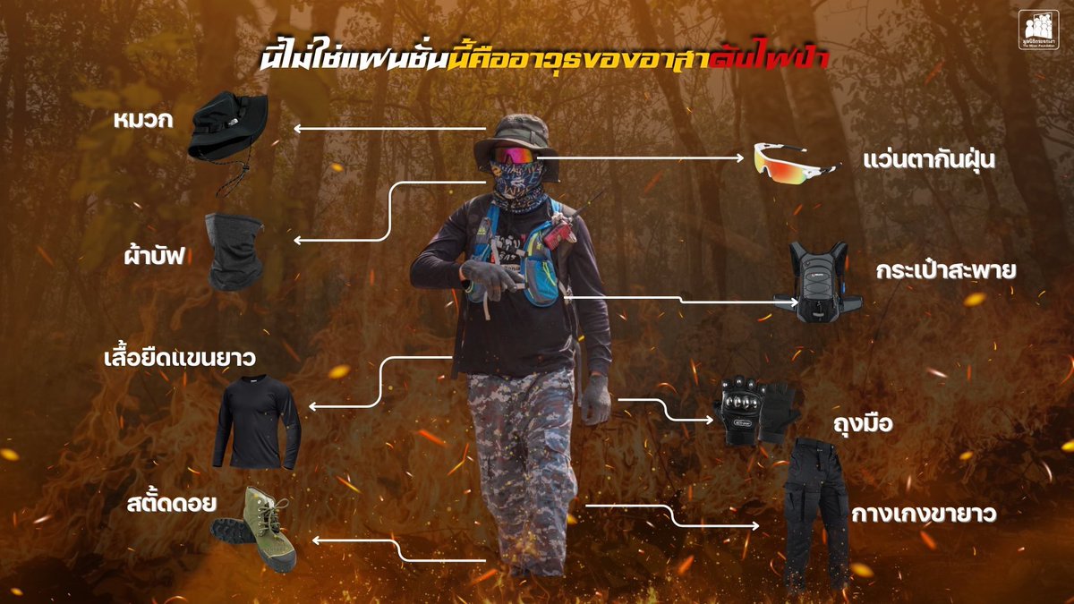 โสมสิริ 🌻🕊️ — selenophile (slow) tweet media