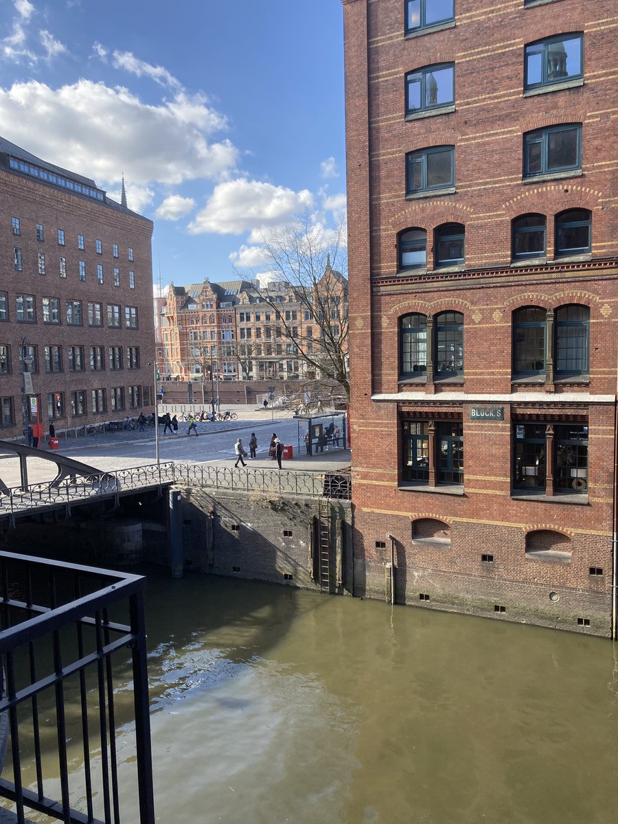 Böser alter Mann. DILLIGAF?🚦 tweet media