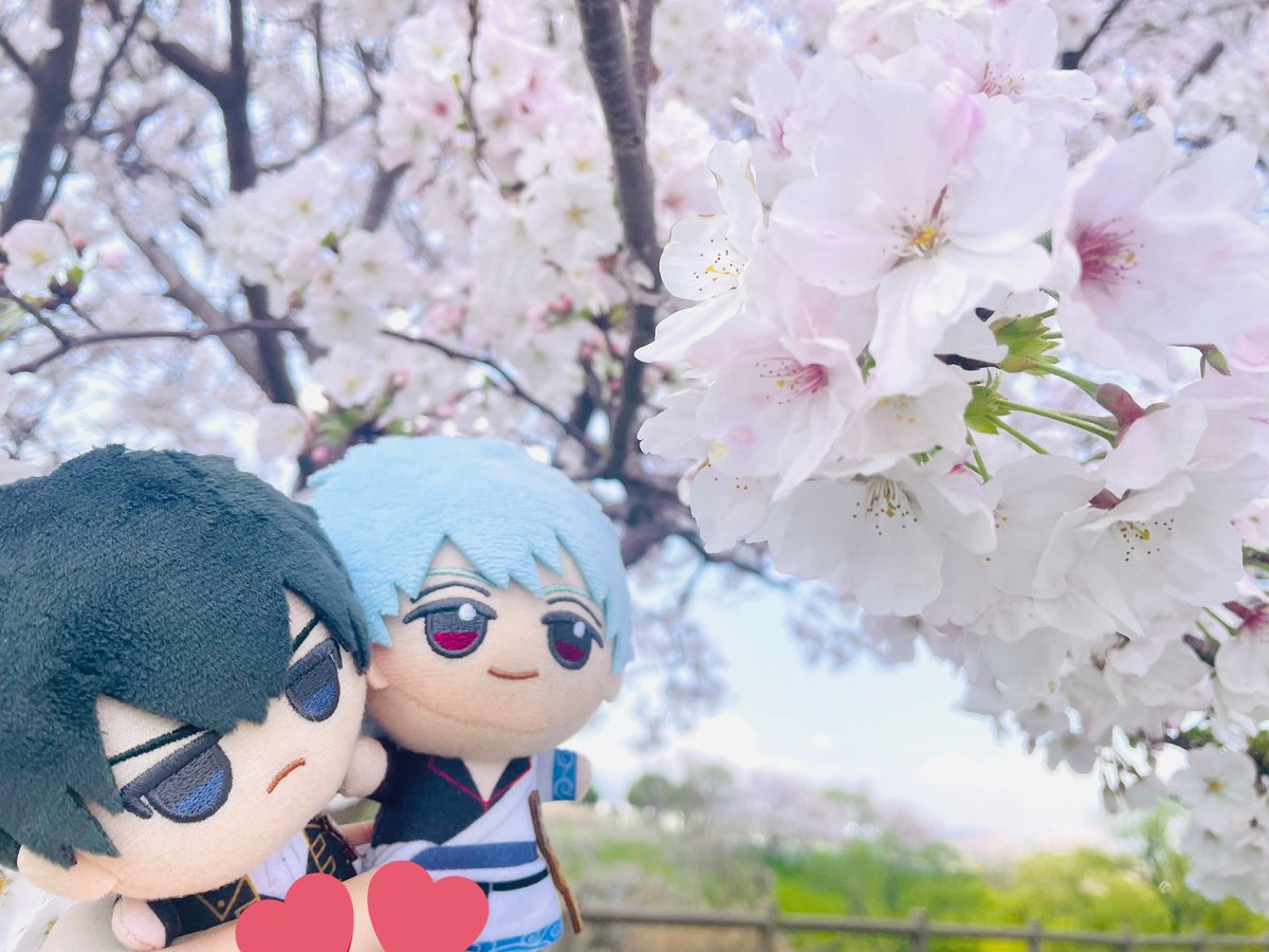 とう丸 (@toumarugg) / Posts / X
