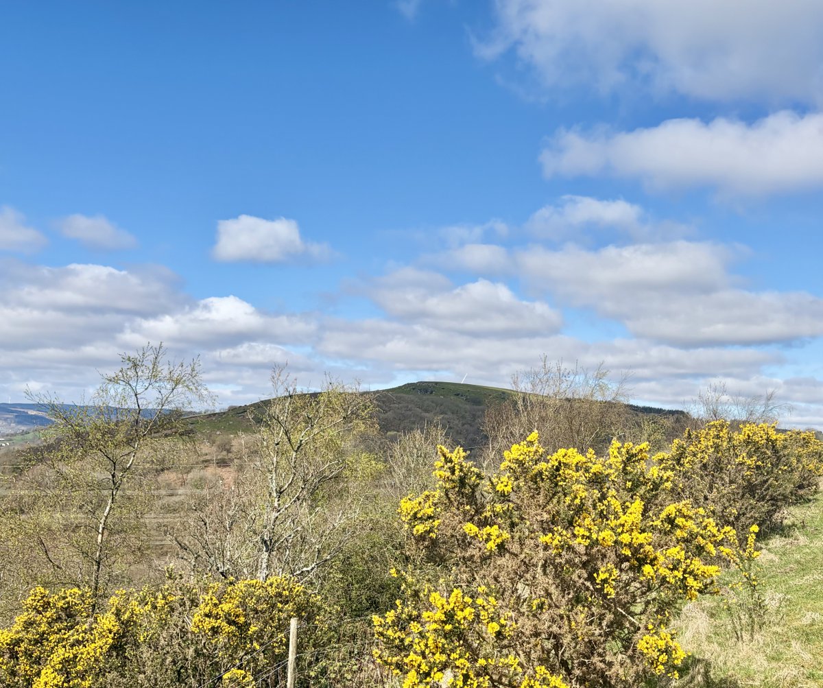 Emmawales123 tweet media