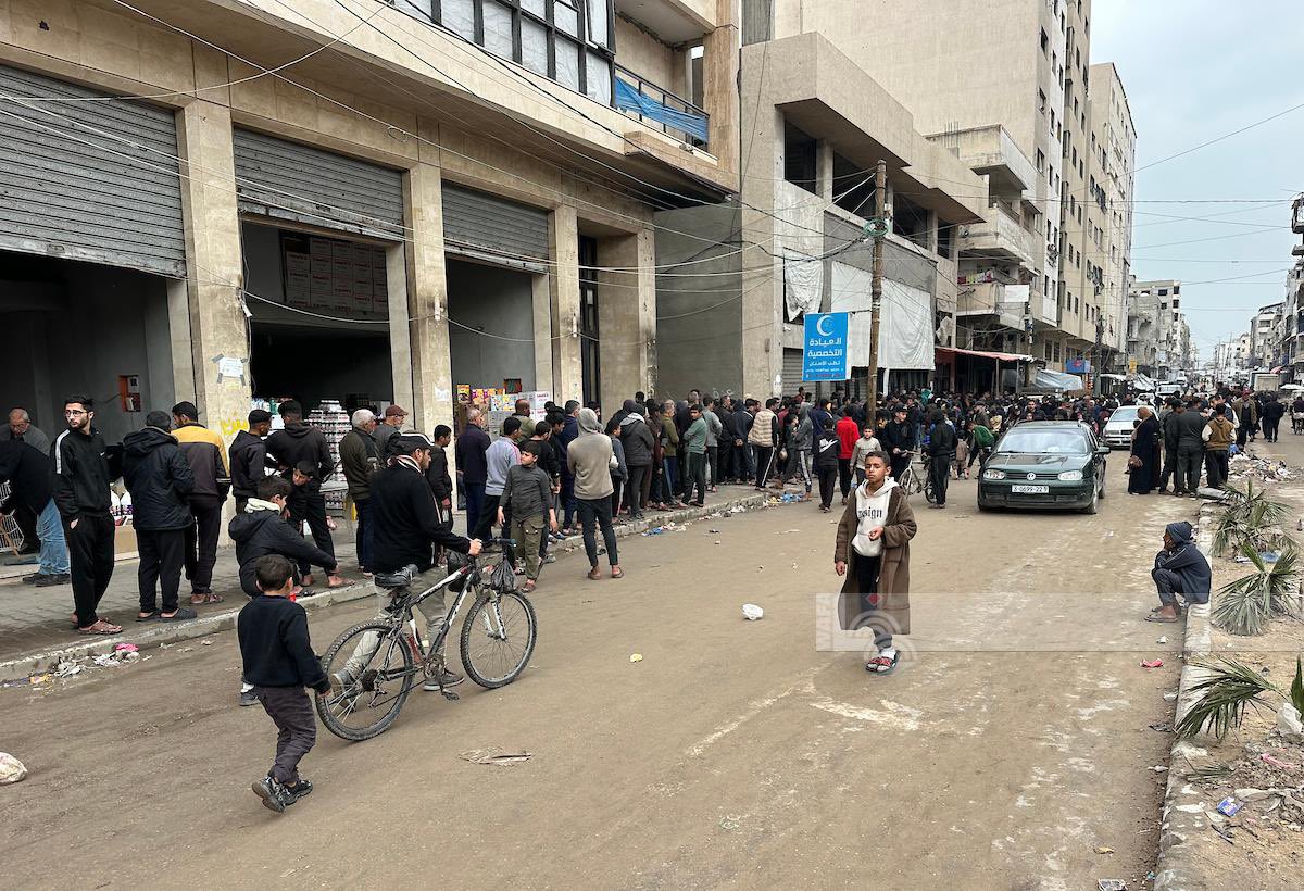 TIMES OF GAZA tweet media