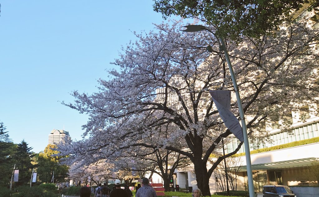 Hitsuji & Friends 羊ヶ丘ひつじとお友達 tweet media