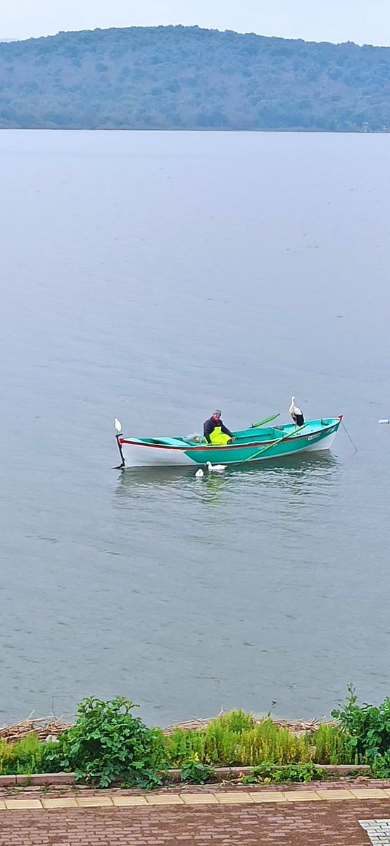 Alper Tüydeş tweet media