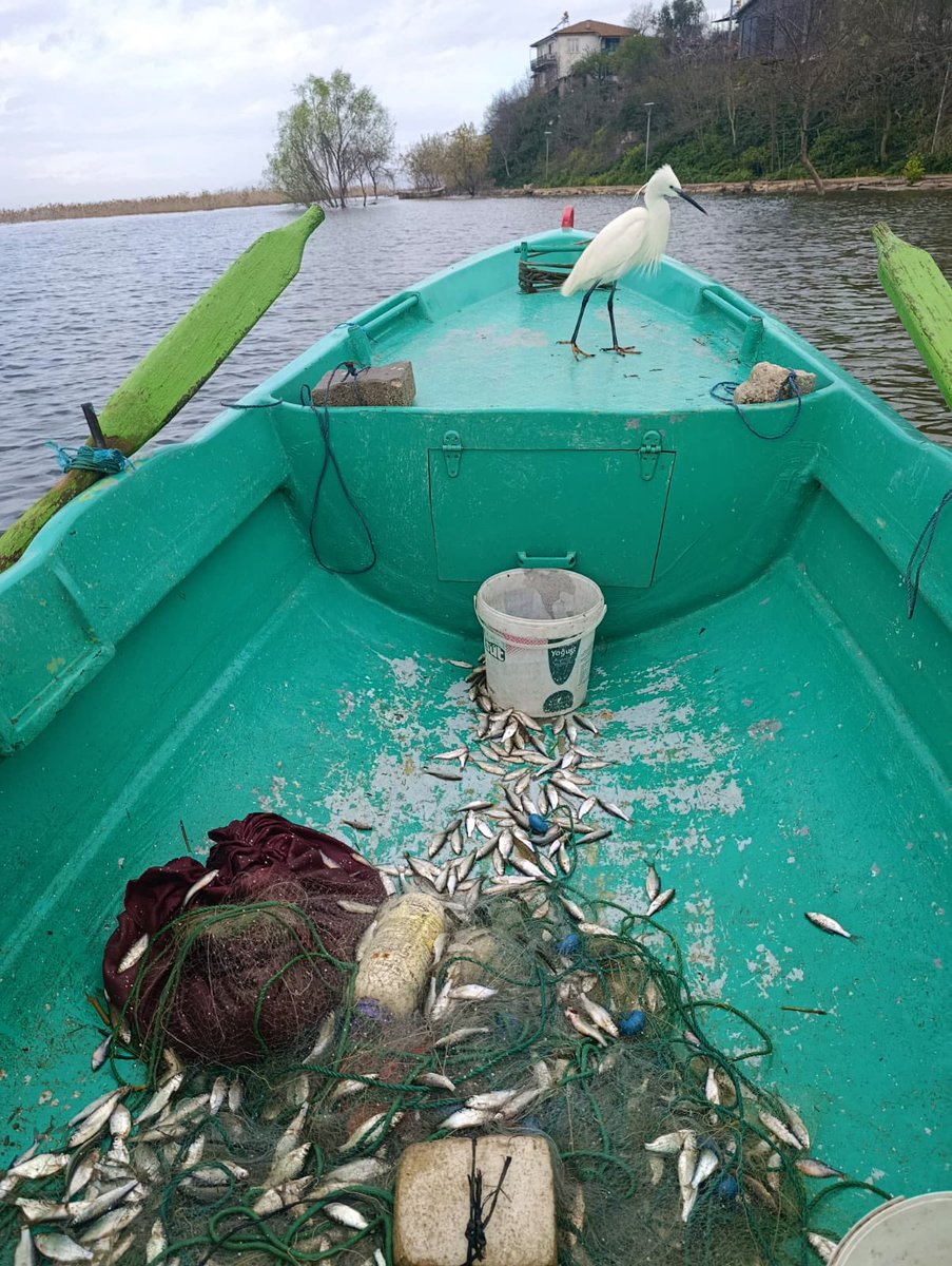 Alper Tüydeş tweet media